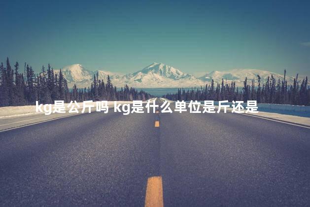 kg是公斤吗 kg是什么单位是斤还是公斤